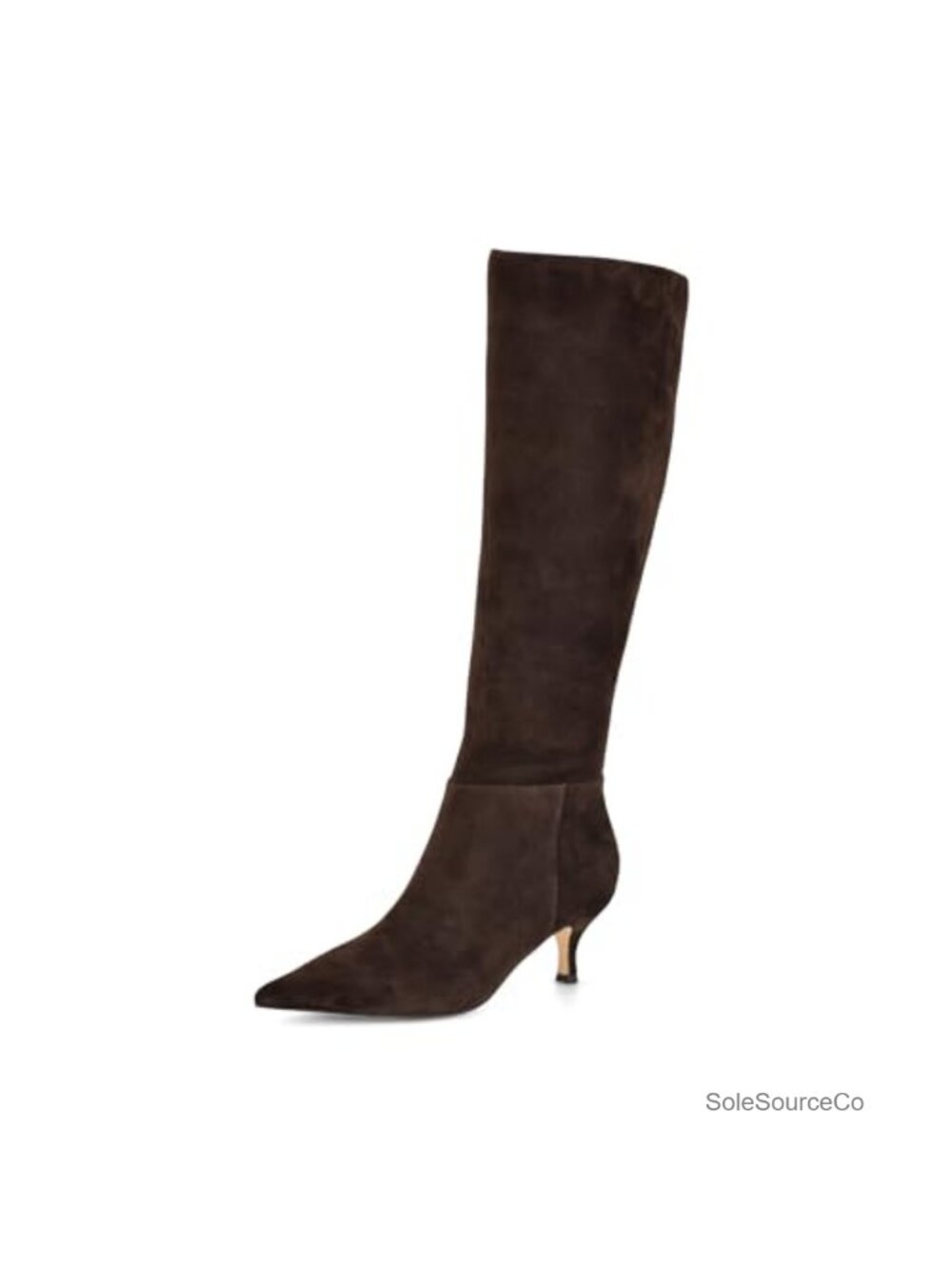 Nine West Women's Somas Pointy Toe Suede Knee-High Boots Zip